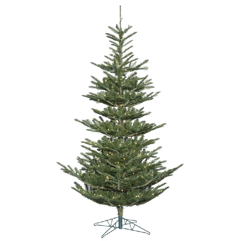 10'Alberta Spruce, G160286, Vickerman