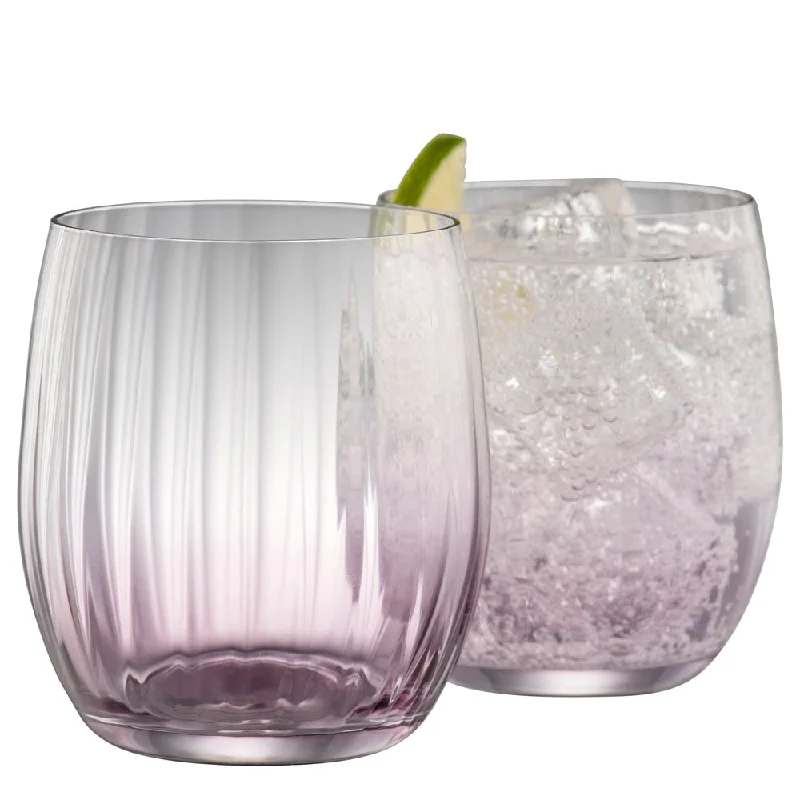 Galway Crystal Erne Tumbler Set of 2 in Amethyst